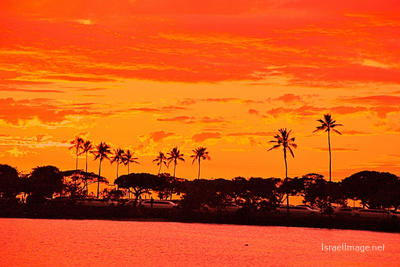 Usa Oahu Hawaii Sunset 0034