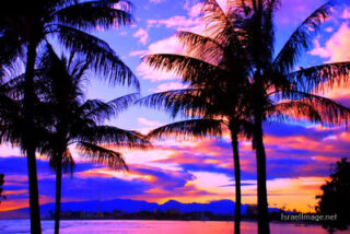 Usa Oahu Hawaii Sunset 0035