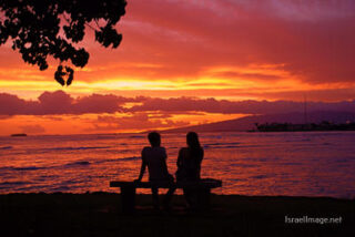 Usa Oahu Hawaii Sunset 0036