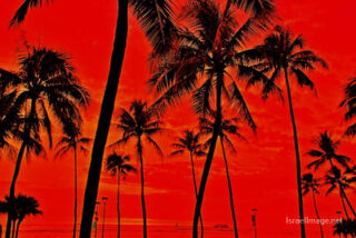 Usa Oahu Hawaii Sunset 0039
