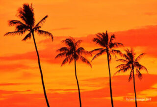 Usa Oahu Hawaii Sunset 0041