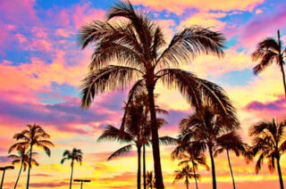 Usa Oahu Hawaii Sunset 0042