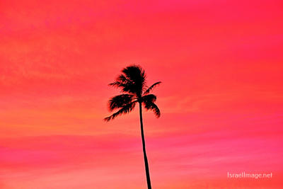 usa O‘ahu hawaii sunset 0001 Usa Oahu Hawaii Sunset 0043