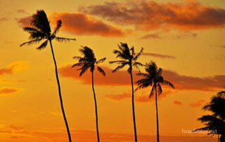 Usa Oahu Hawaii Sunset 0044