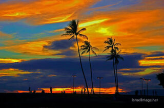 Usa Oahu Hawaii Sunset 0045