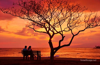 Usa Oahu Hawaii Sunset 0047