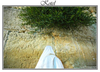 kotel posters Kotel 0057