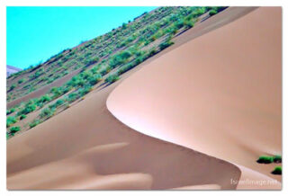 namibia sossusvlei print Namibia Sossusvlei 00036