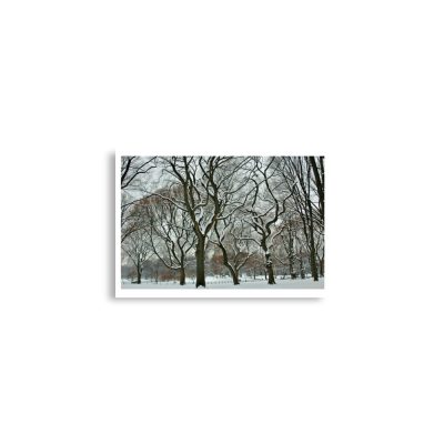 enhanced-matte-paper-poster-cm-a2-42x59.4-cm-front-68dc12adf13ea.jpg Poster print us new york city central park snow 0003x A2 (42×59.4 cm)