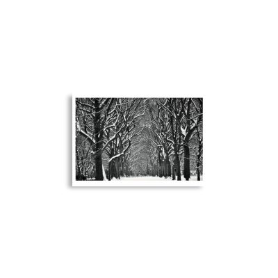 Poster print us new york city central park snow 0001x A2 (42×59.4 cm)