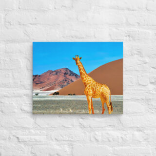 canvas-in-16x20-front-68ed8c9420676-1.jpg Canvas giraffe 0003 16″×20″