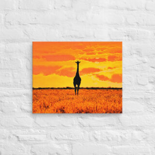 canvas-in-16x20-front-68ed92ec8bd0e.jpg Canvas giraffe 0002 16″×20″