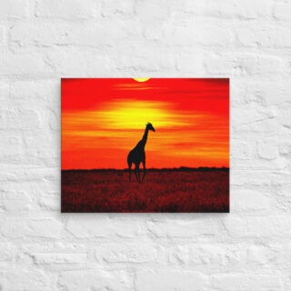 canvas-in-16x20-front-68ed945734062.jpg Canvas giraffe 0001 16″×20″