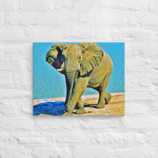 canvas-in-16x20-front-68ed957629aa9.jpg Canvas elephant 0004 16″×20″