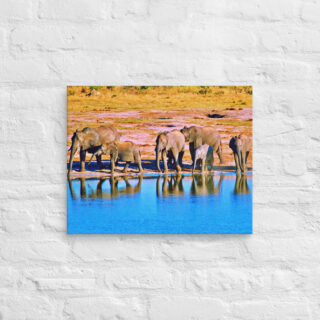 canvas-in-16x20-front-68ed96b1560e3.jpg Canvas elephant 0003 16″×20″