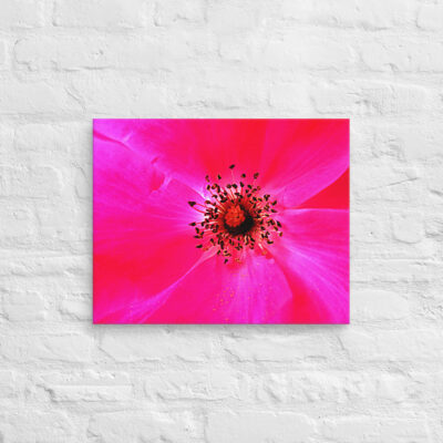canvas-in-16x20-front-68edbec10e6c3.jpg Canvas abstract flora 0010 16″×20″