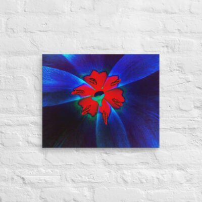 canvas-in-16x20-front-68edbfaf293ff.jpg Canvas abstract flora 0009 16″×20″