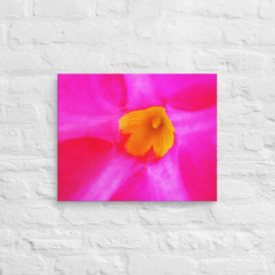 canvas-in-16x20-front-68edc0896ea72.jpg Canvas abstract flora 0008 16″×20″
