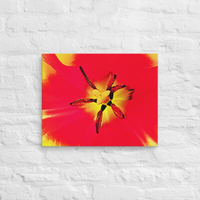 canvas-in-16x20-front-68edc18783b06.jpg Canvas abstract flora 0007 16″×20″