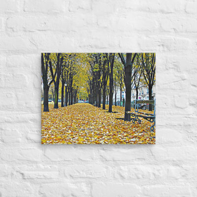 canvas-in-16x20-front-68f0063674b7b.jpg Canvas French Paris Foliage 004 16″×20″