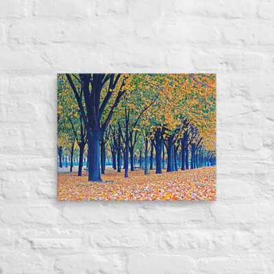 canvas-in-16x20-front-68f00bbbbfc27.jpg Canvas French Paris Foliage 002 16″×20″
