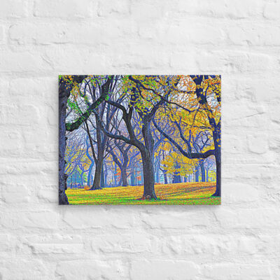 canvas-in-16x20-front-68f10f77603f9.jpg Canvas us New York City Central Park 0009 16″×20″