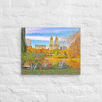 canvas-in-16x20-front-68f110d76fb0c.jpg Canvas us New York City Central Park 0008 16″×20″