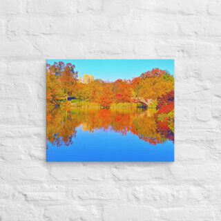 canvas-in-16x20-front-68f113dc8f888.jpg Canvas us New York City Central Park 0006 16″×20″