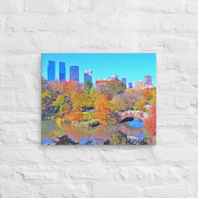 canvas-in-16x20-front-68f114ac8e3e5.jpg Canvas us New York City Central Park 0005 16″×20″