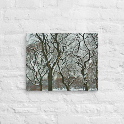 canvas-in-16x20-front-68f11588a07cf.jpg Canvas us New York City Central Park 0004 16″×20″