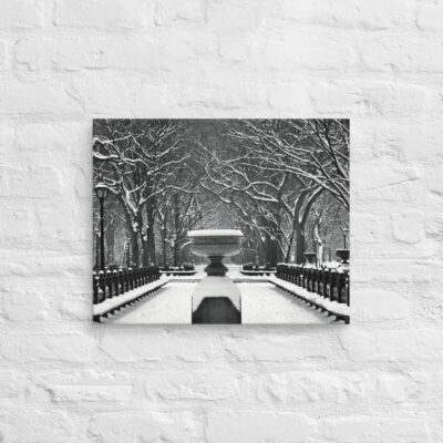 canvas-in-16x20-front-68f11675495de.jpg Canvas us New York City Central Park 0003 16″×20″