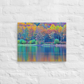 canvas-in-16x20-front-68f454008f037.jpg Canvas France Provence Foliage 0011 16″×20″