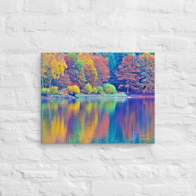 canvas-in-16x20-front-68f454ec6e603.jpg Canvas France Provence Foliage 0010 16″×20″