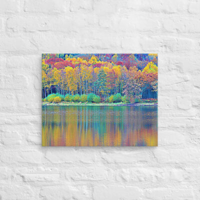 canvas-in-16x20-front-68f455d5d590f.jpg Canvas France Provence Foliage 0009 16″×20″