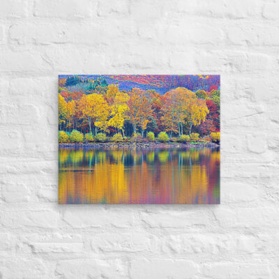 Canvas France Provence Foliage 0008 16″×20″