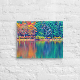 canvas-in-16x20-front-68f458bacd3bd.jpg Canvas France Provence Foliage 0007 16″×20″