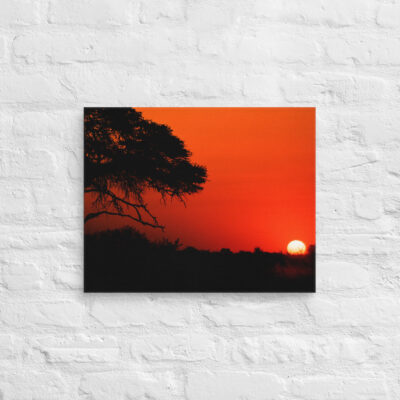 Canvas Afrika Sunset 0005 16″×20″