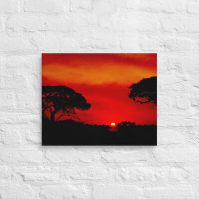 Canvas Afrika Sunset 0004 16″×20″