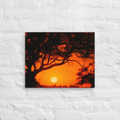 Canvas Afrika Sunset 0003 16″×20″