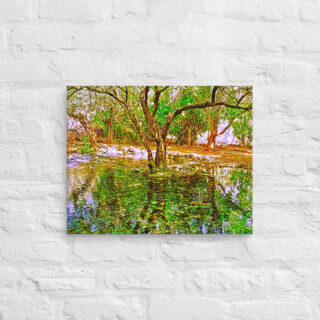 Canvas israel dan river 0002 16″×20″