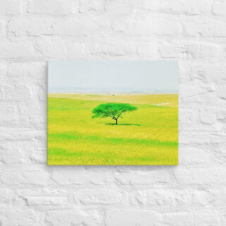 Canvas israel negev 0002 16″×20″