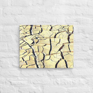 Canvas israel negev 0003 16″×20″