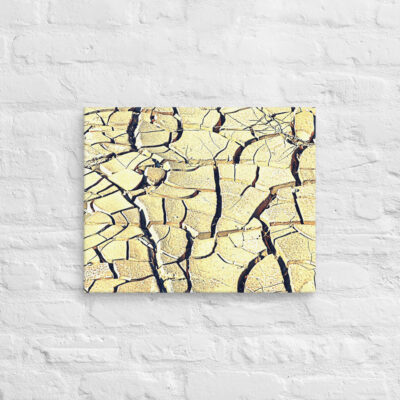 Canvas israel negev 0003 16″×20″