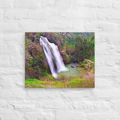 Canvas israel nahal ayun takhana waterfall 0001 16″×20″