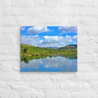 Canvas israel judean hills 0001 16″×20″