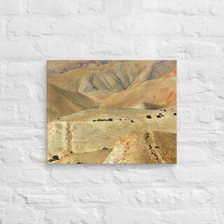 Canvas israel judean desert 0005 16″×20″