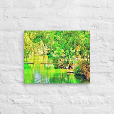 Canvas israel jordan river 0001 16″×20″