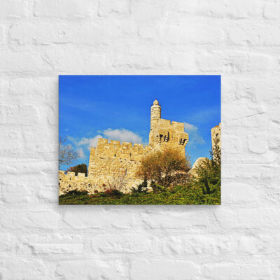canvas-in-16x20-front-6901028cb927e.jpg Canvas jerusalem old city david tower 0001 16″×20″