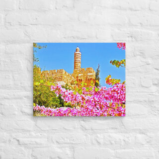 Canvas jerusalem old city david tower 0002 16″×20″