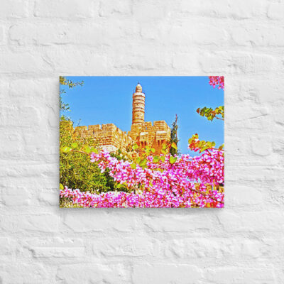 canvas-in-16x20-front-6901035741fa8.jpg Canvas jerusalem old city david tower 0002 16″×20″